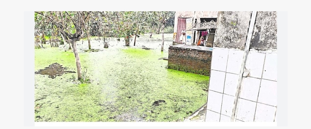  गोरखपुर: जलभराव की समस्या से जूझ रहा मठिया गांव , फसले डूबी , मच्छर जनित रोग अलग से, प्रशासन कर रहा अनदेखी
