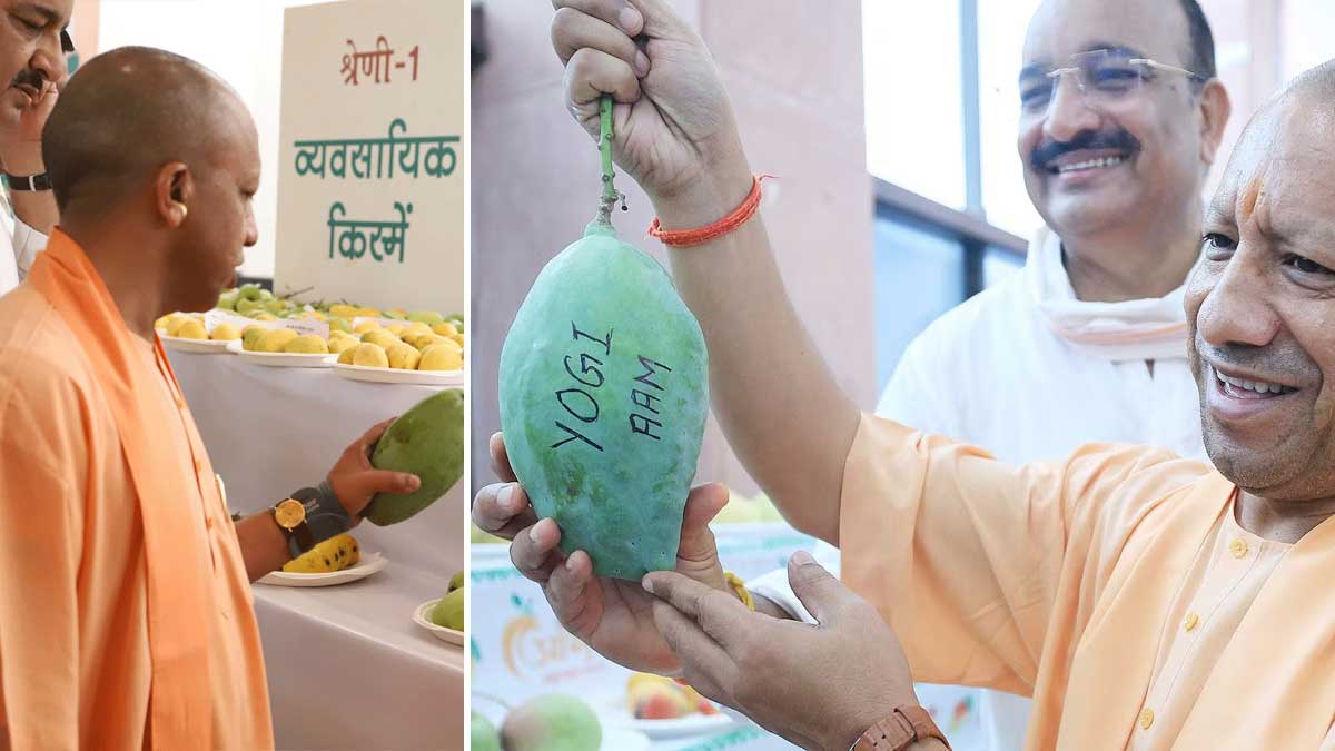 Lucknow Aam Mahotsav 2025: लखनऊ में आम महोत्सव 2025 का आगाज़, सीएम योगी ने लंदन-दुबई भेजे आम Lucknow Aam Mahotsav 2025: लखनऊ में आम महोत्सव 2025 का आगाज़, सीएम योगी ने लंदन-दुबई भेजे आम