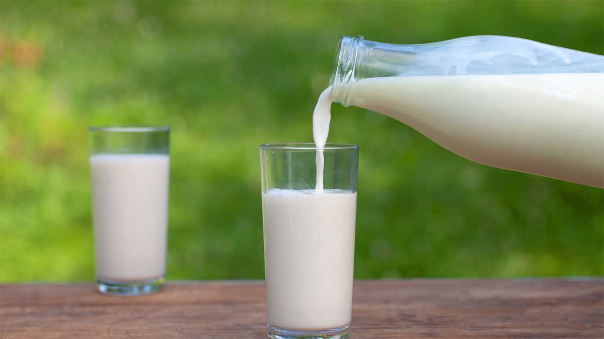 Non-veg Milk: क्या है नॉनवेज मिल्क? भारत-अमेरिका ट्रेड डील में नॉनवेज मिल्क बना बाधा