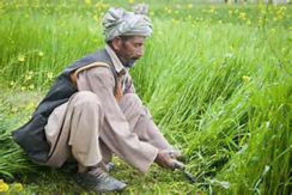 GST से किसानों को बड़ी राहत, खाद पर टैक्स 7% घटा 