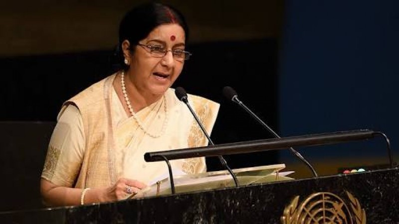 सुषमा स्वराज के भाषण की जमकर की तारीफ सुषमा स्वराज के भाषण की जमकर की तारीफ
