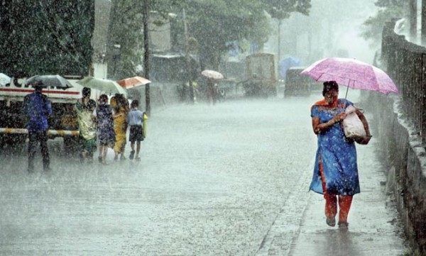 इस साल कैसा रहेगा मानसून : जानिए इस साल कैसा रहेगा मानसून : जानिए