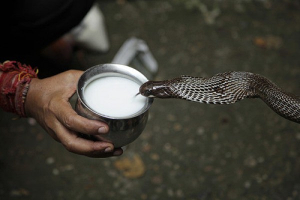 क्यों मनाया जाता है नागपंचमी ?