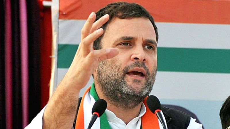 राहुल गांधी को टक्कर देने फिर से मैदान में उतर रही ये महिला राहुल गांधी को टक्कर देने फिर से मैदान में उतर रही ये महिला