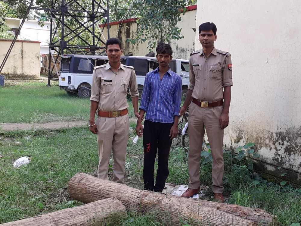 जंगली लकड़ी सागौन साहित एक अभियुक्त व अन्य 03 नफर वारण्टी गिरफ्तार जंगली लकड़ी सागौन साहित एक अभियुक्त व अन्य 03 नफर वारण्टी गिरफ्तार