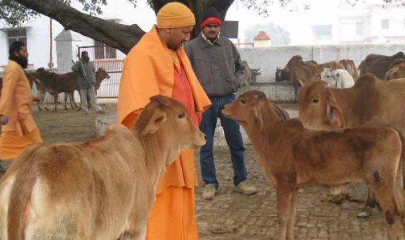 किसानों की आय दोगुनी करने के लिए योगी सरकार  बनाएगी  गोबर से साबुन